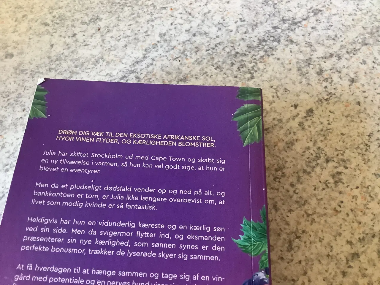 Billede 2 - Den lille vingård ved bjergets fod Marie Sammeli