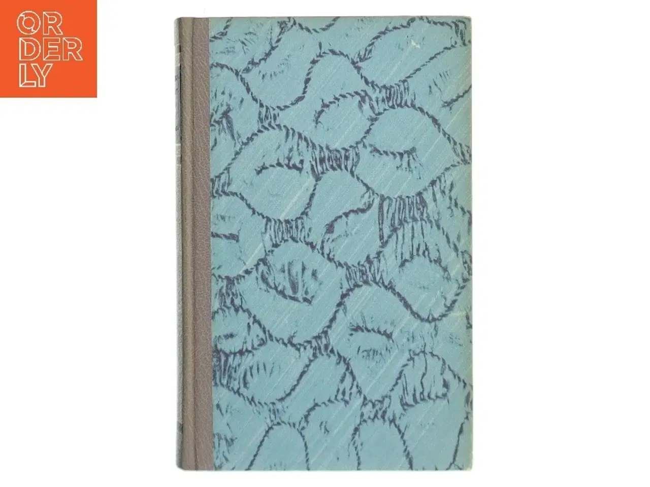 Billede 1 - Orkanen af Desmond Bagley (Bog)