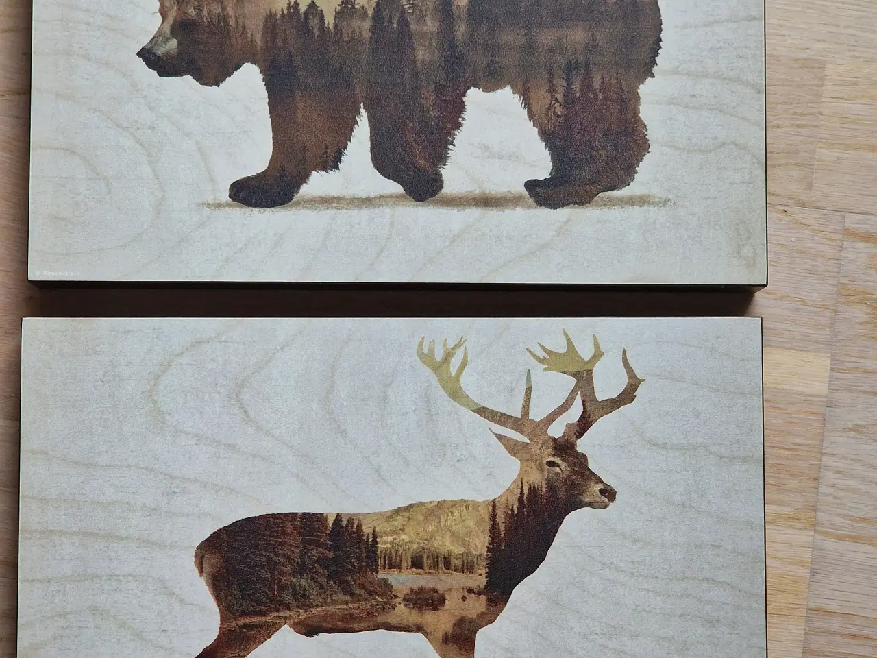 Billede 1 - Flotte billede med elg og bjørn i naturtræs tema