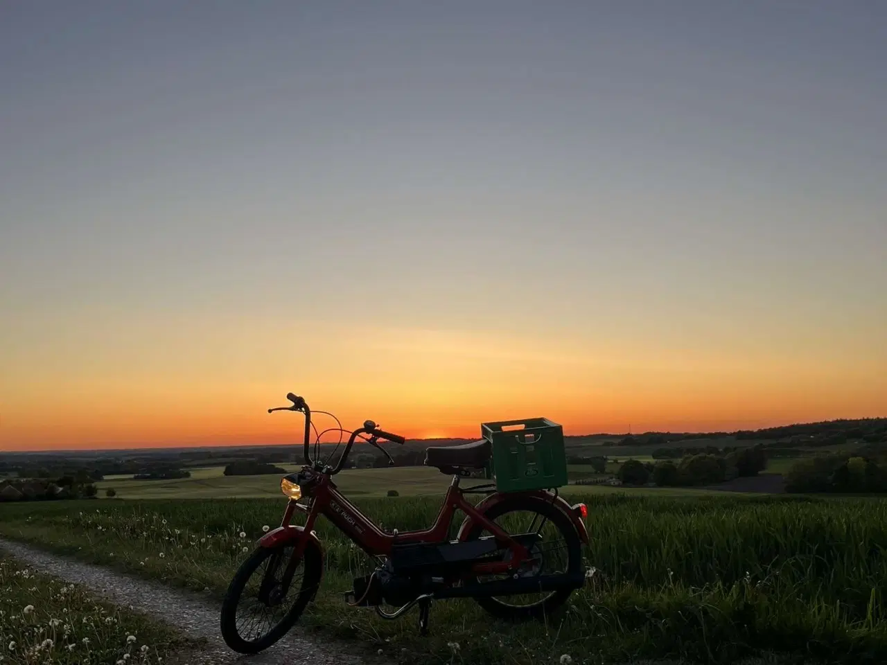 Billede 6 - Puch maxi K