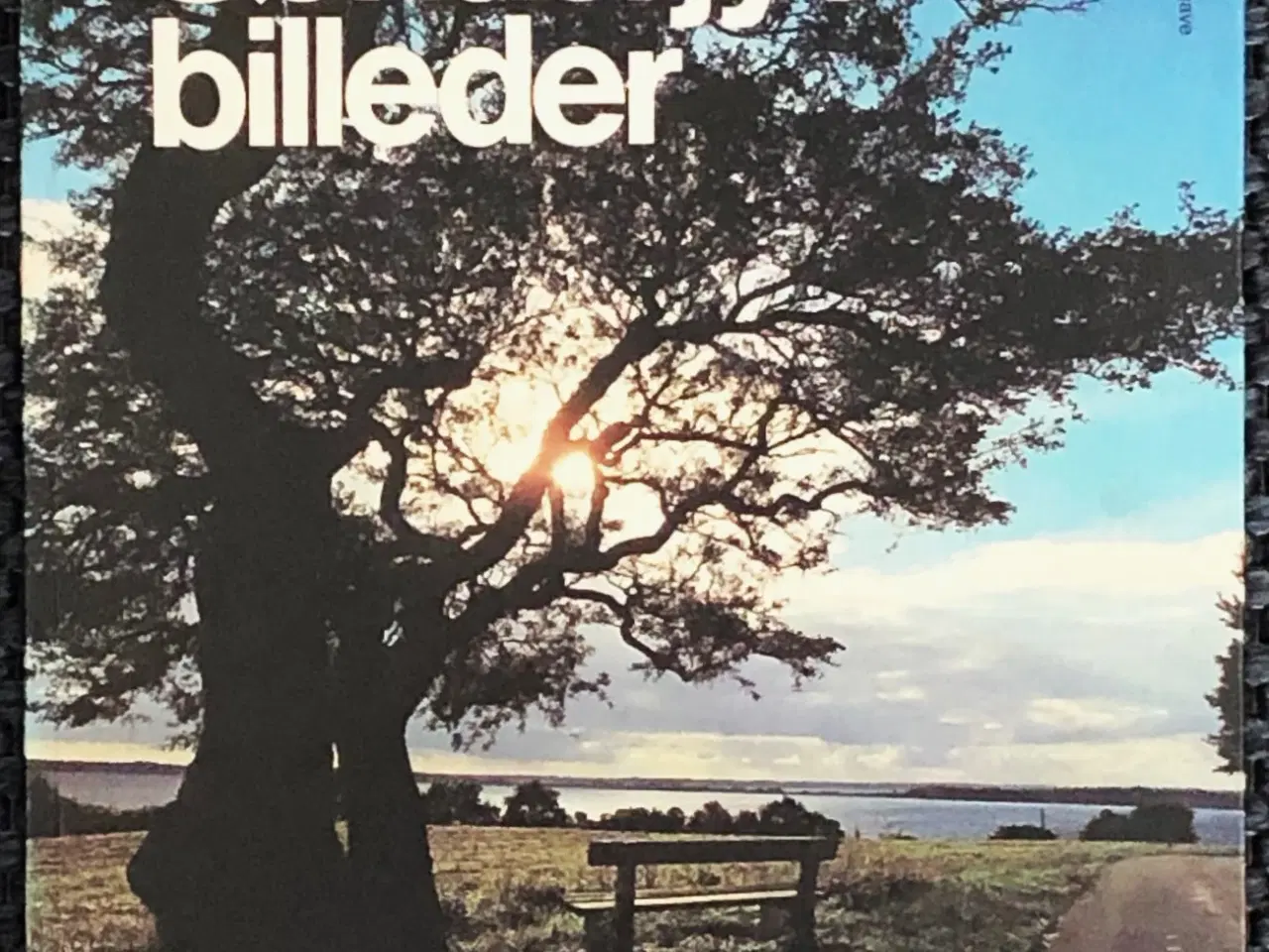 Billede 1 - Sønderjyske billeder, 1981