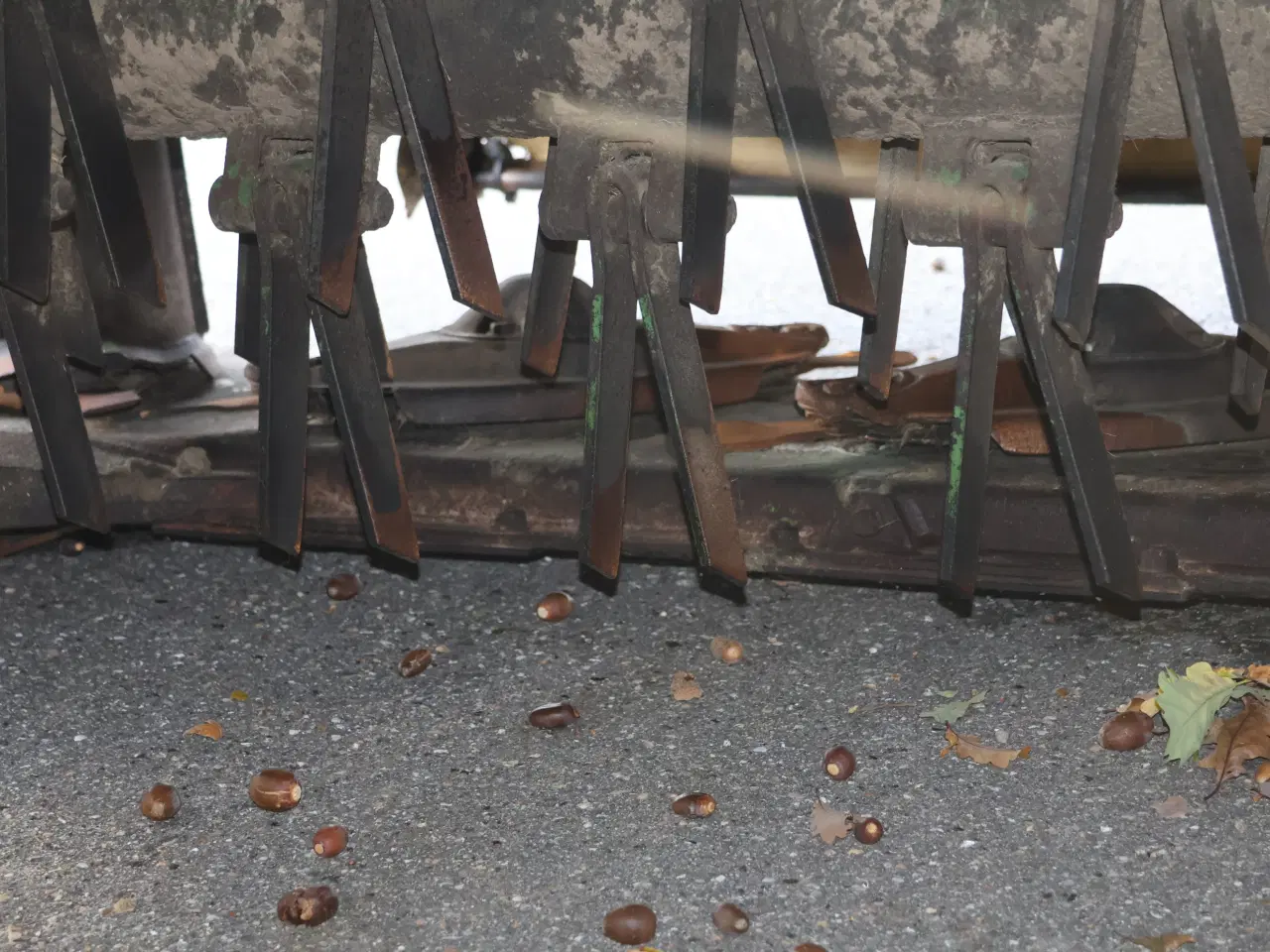 Billede 17 -  Krone Easycut 3210CV bugseret skivehøster