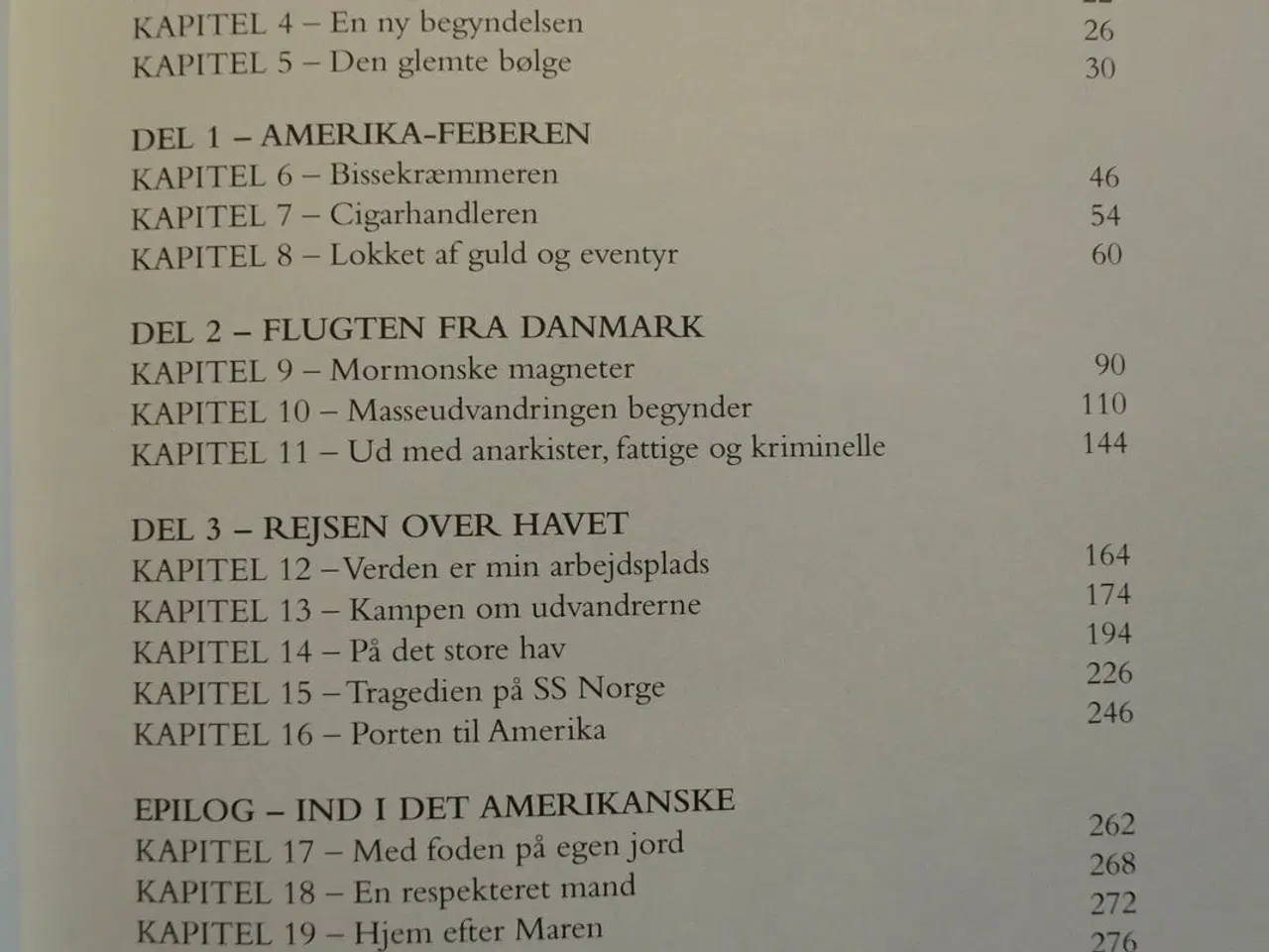 Billede 2 - rejsen til amerika 1 - drømmen om et nyt liv, af o