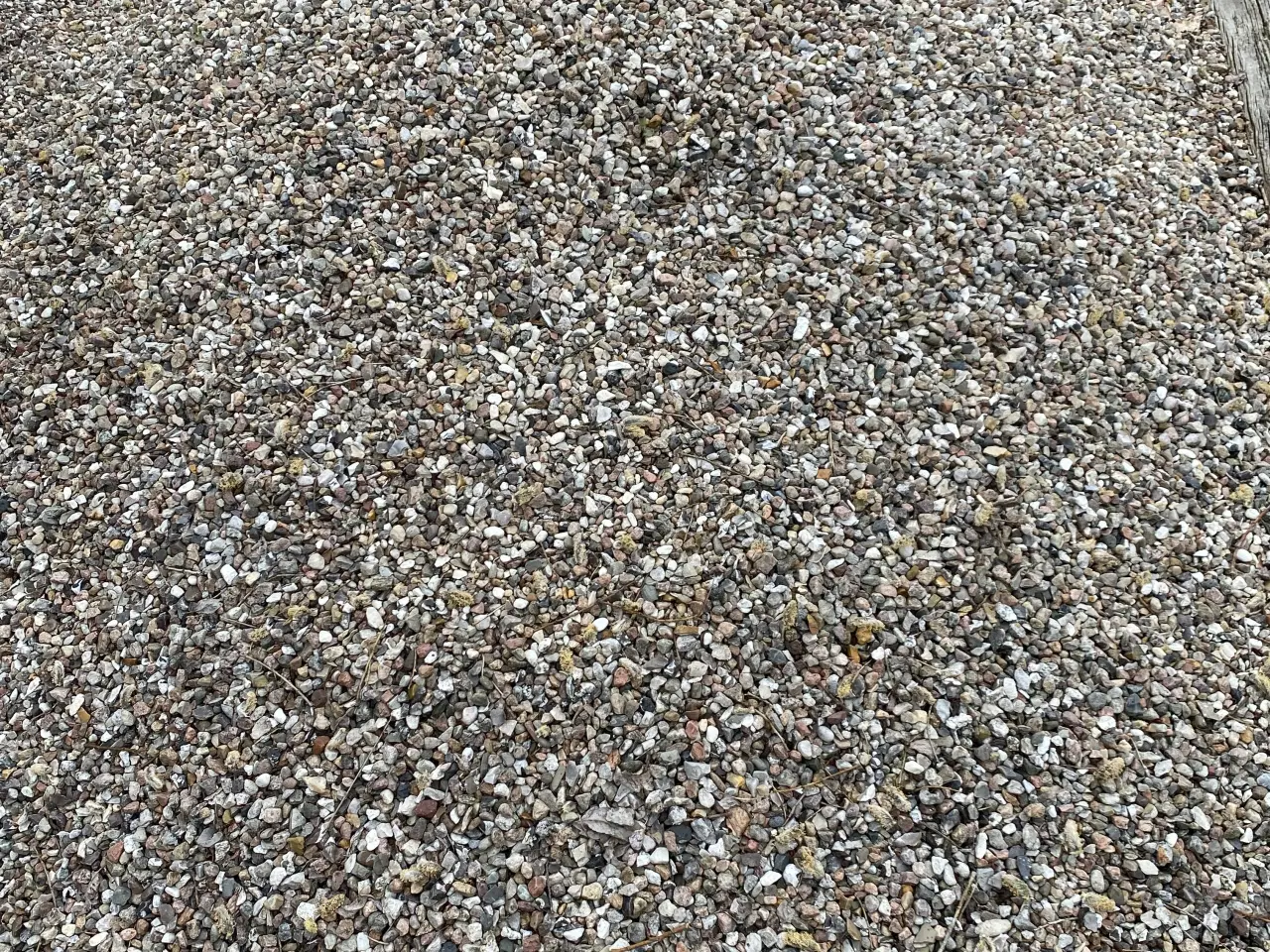 Billede 1 - Ærtesten