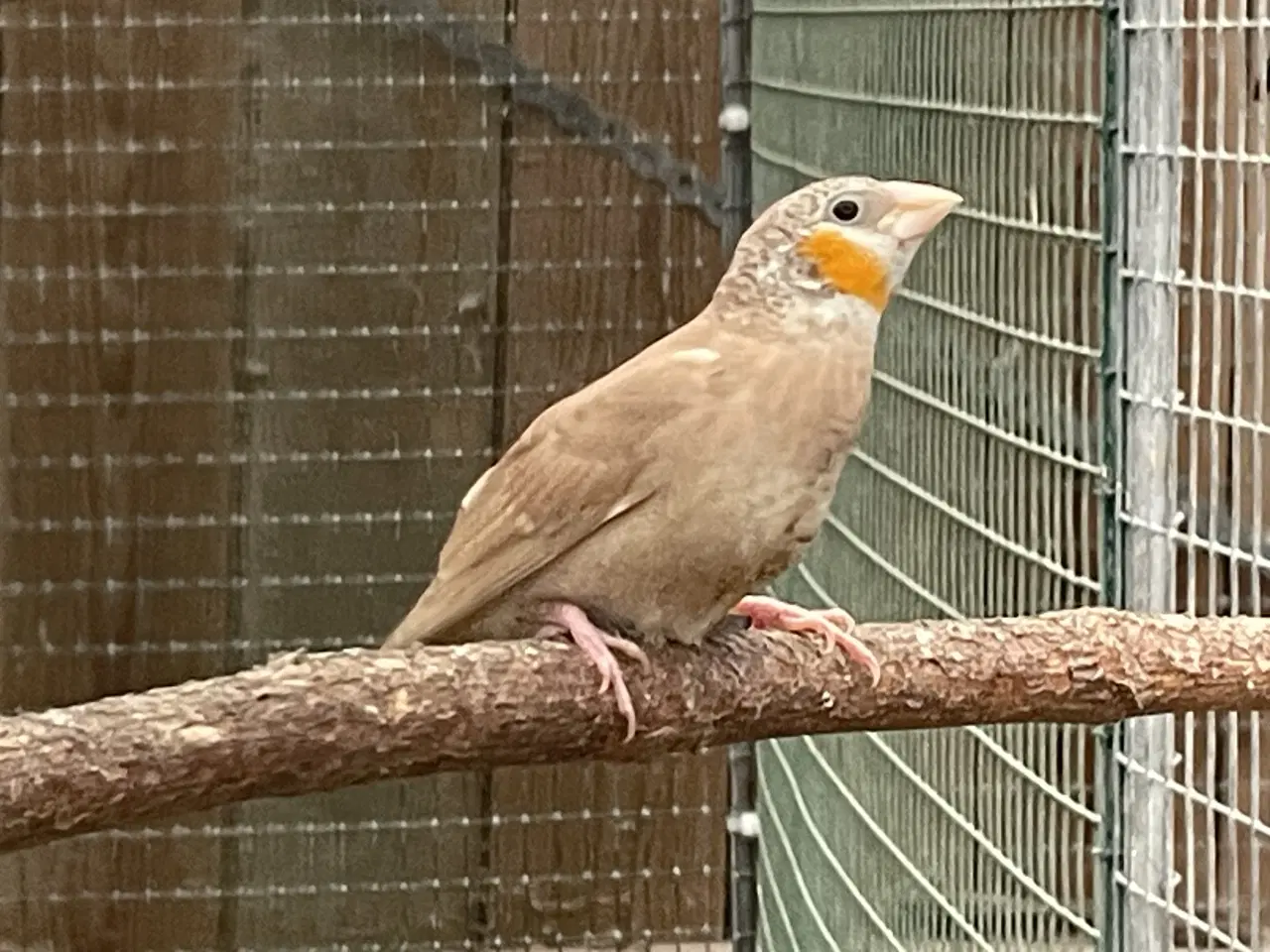 Billede 1 - Lidt forskelligt.