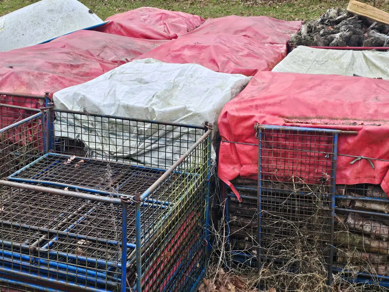 Billede 1 - Billigt brænde - gran og blandet løv