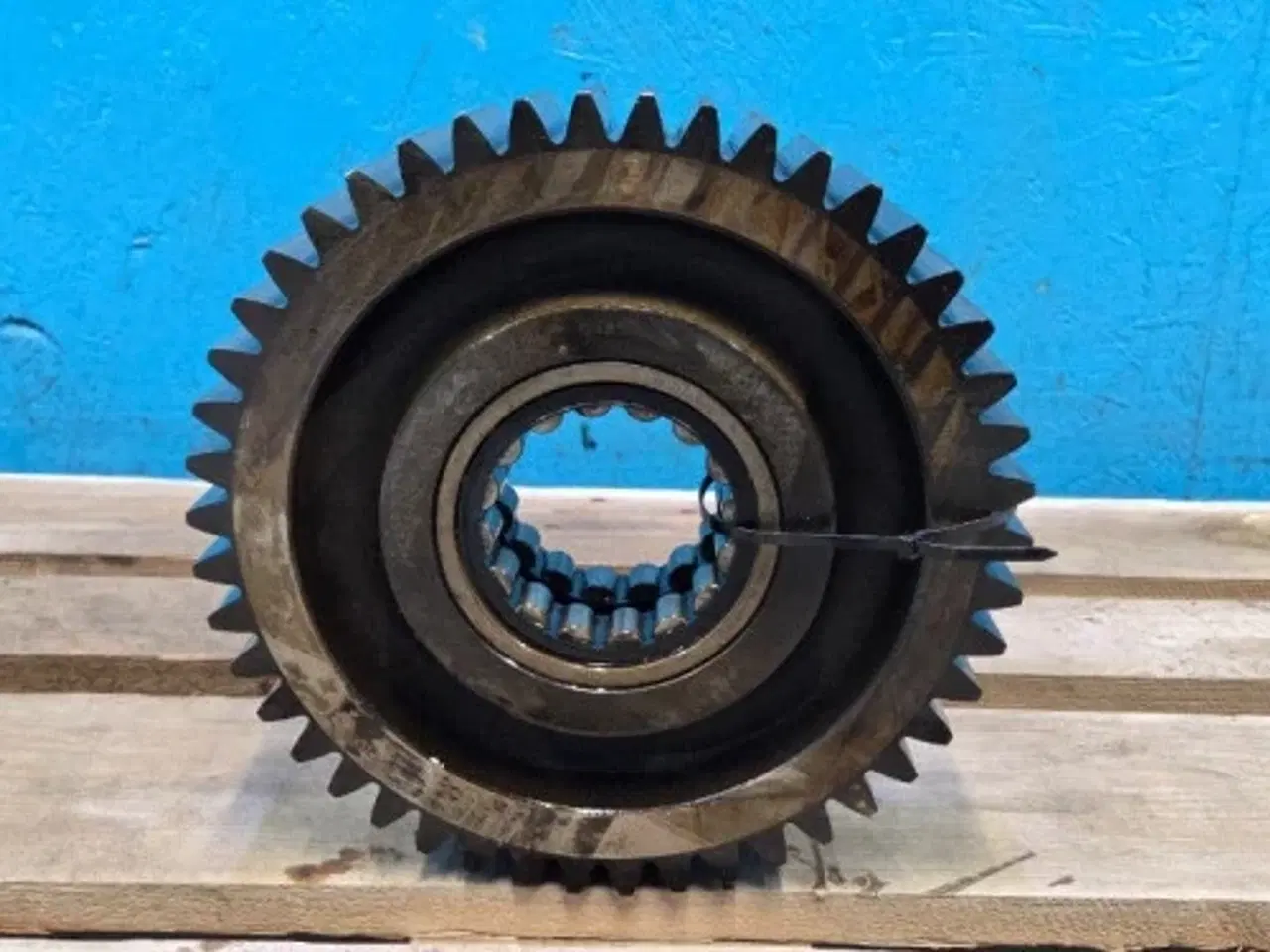 Billede 3 - Claas Lexion 600 Gearhjul 7644011