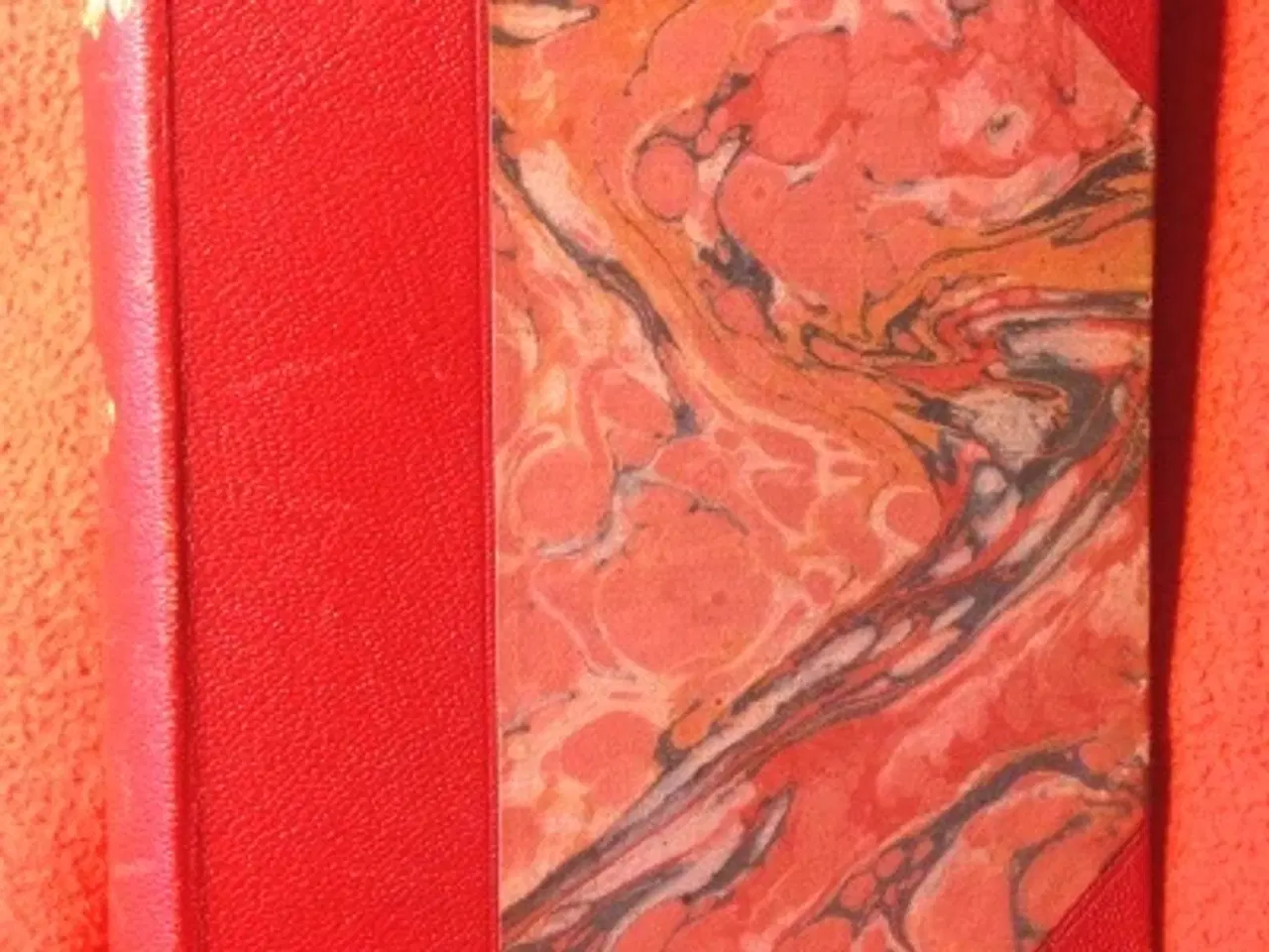 Billede 1 - Nikolaj Leskov: Den fortryllede vandringsmand