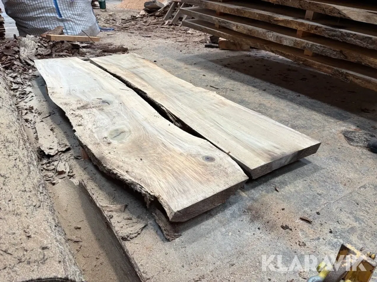 Billede 5 - Amerikansk tulipantræ 2 styk