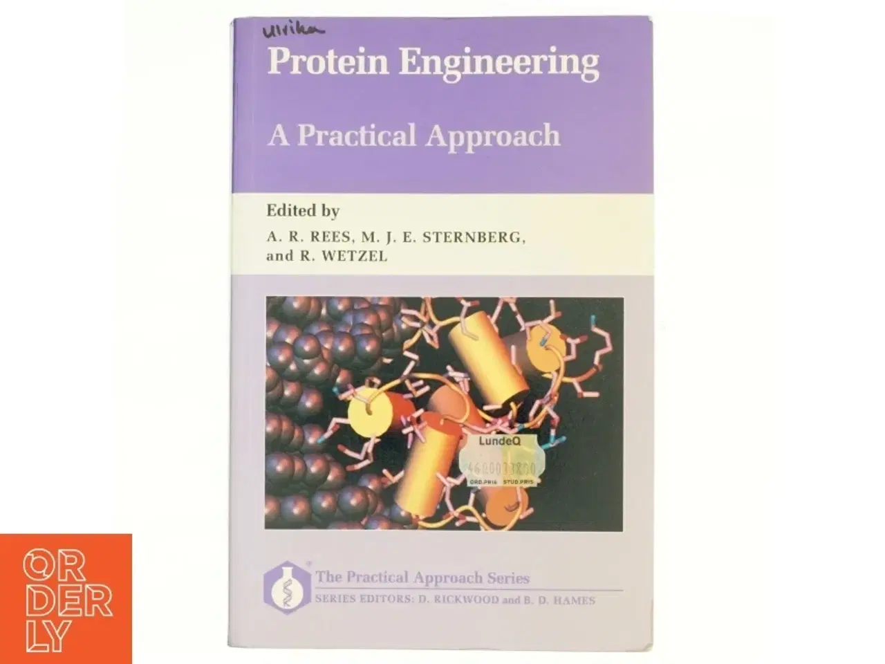 Billede 1 - Protein engineering : A practical approach (Bog)