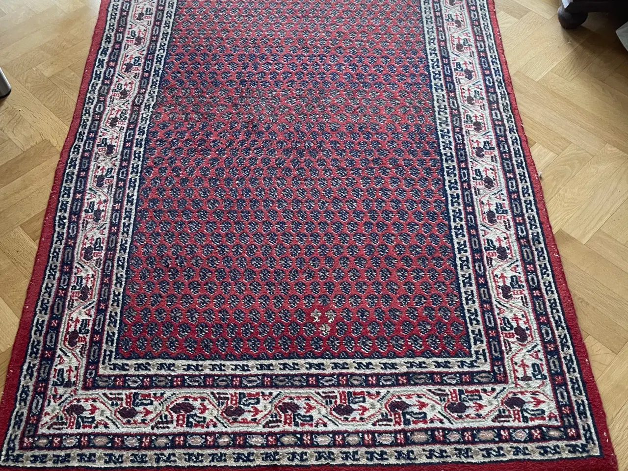 Billede 1 - Håndknyttet Indisk ægte tæppe 