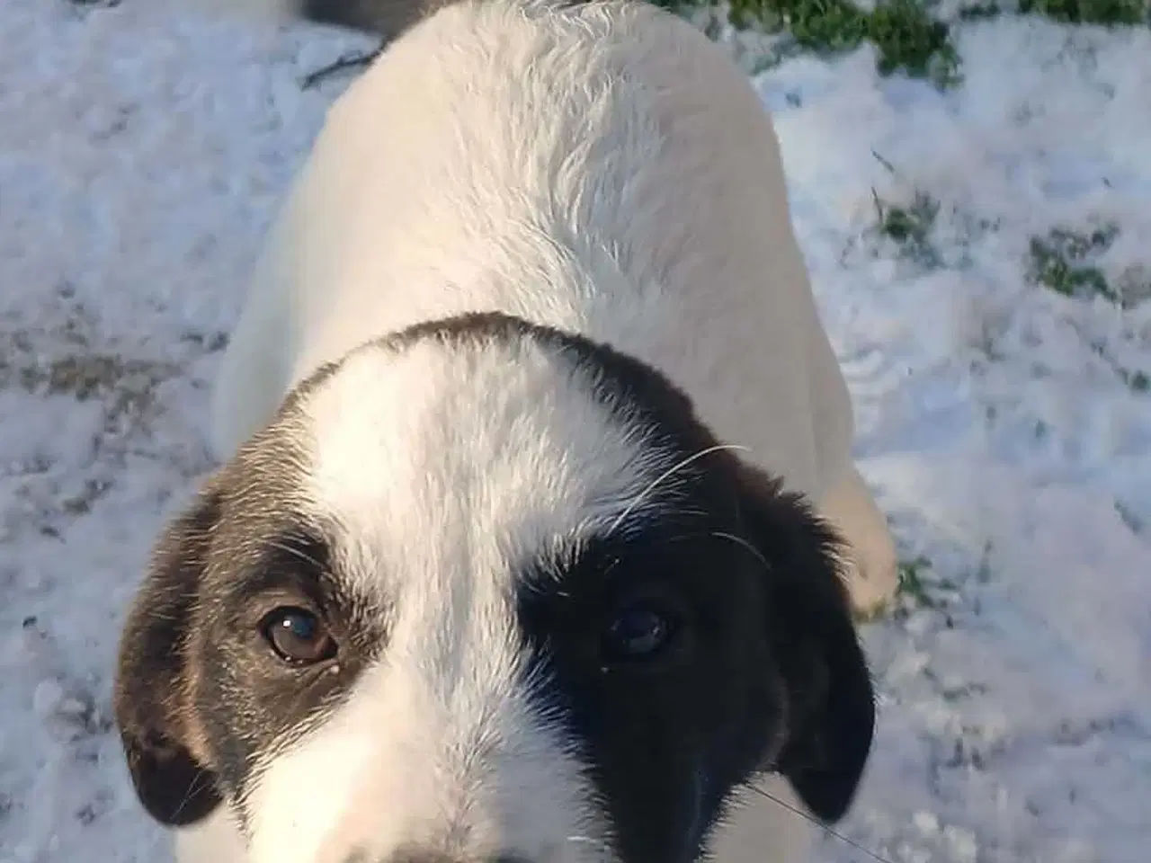 Billede 7 - Skønneste Muriel søger sin egen familie
