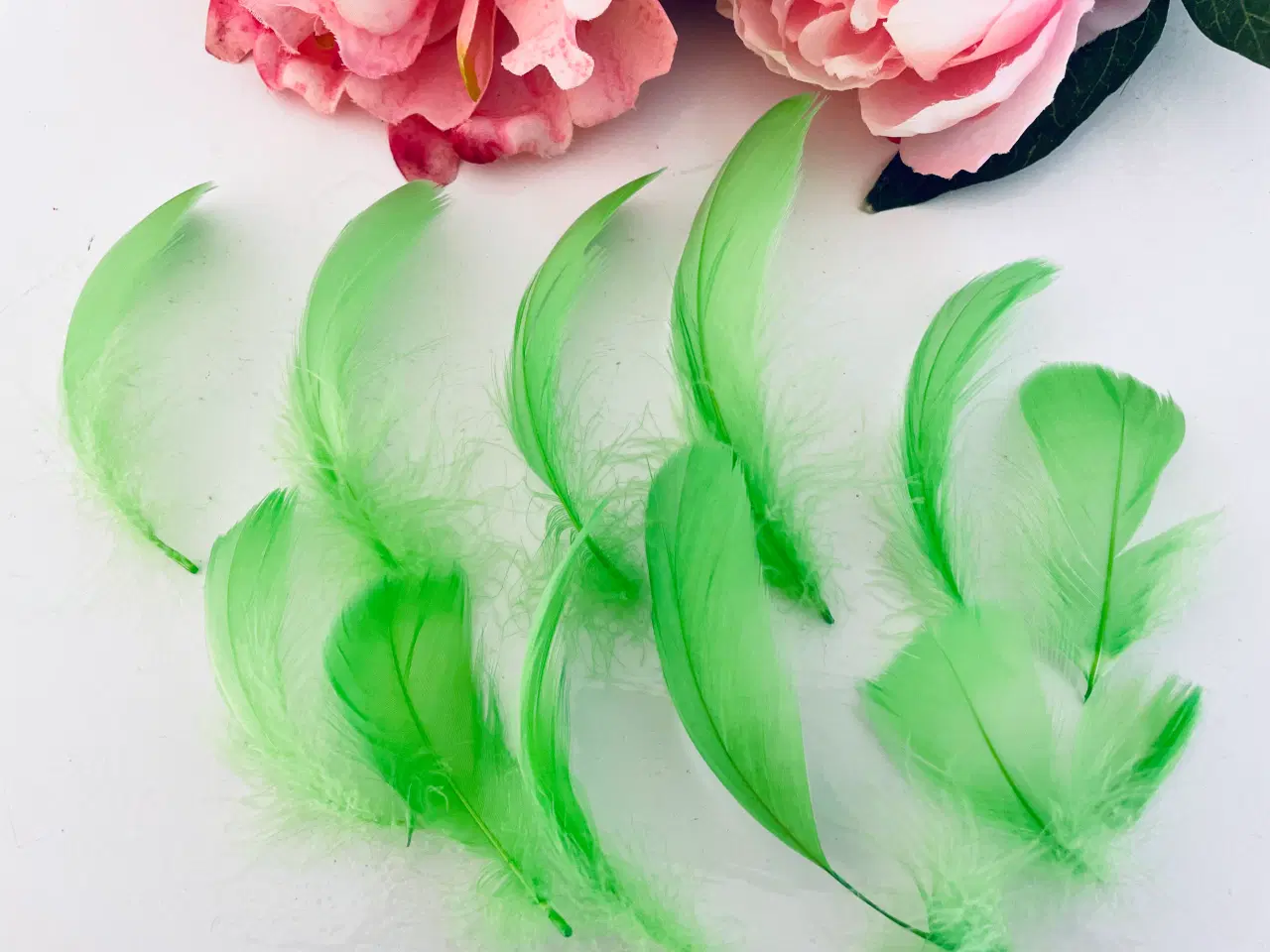 Billede 6 - Lysegrønne fjer til dekoration