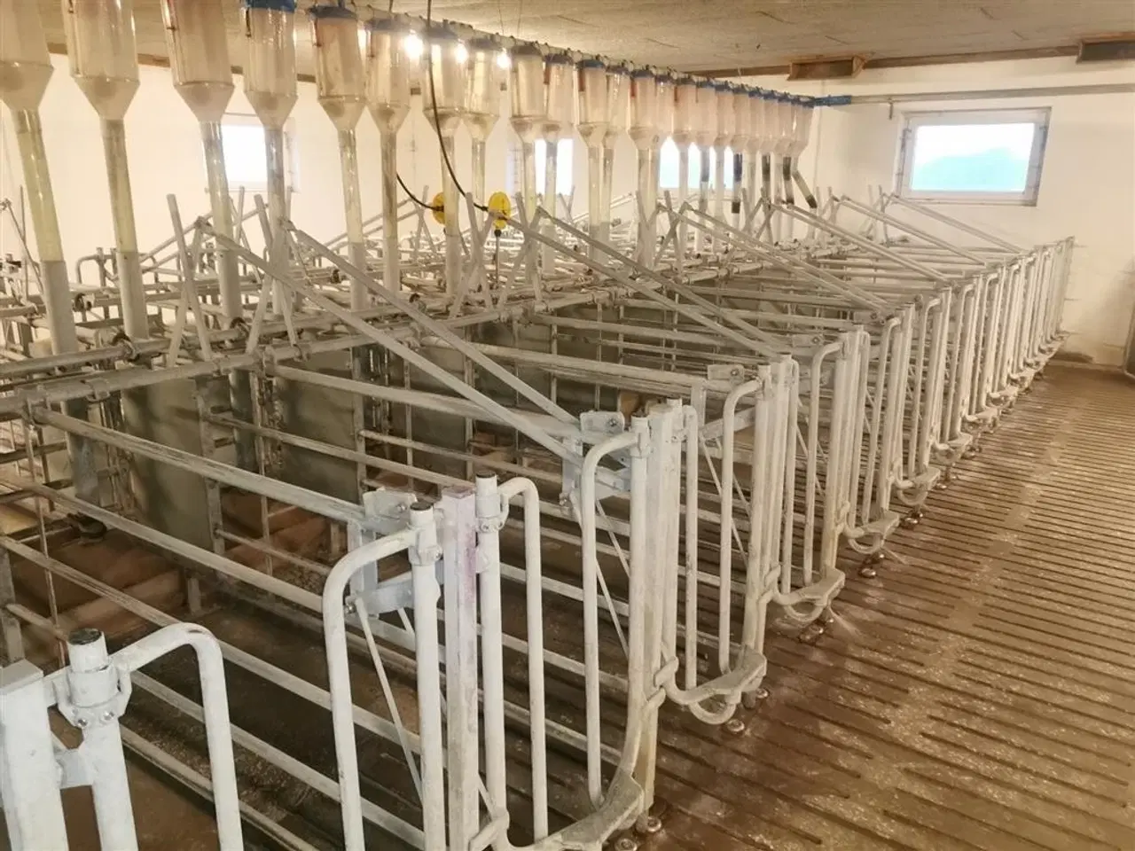 Billede 1 - - - - Æde-/hvilebokse Jyden 105 stk.