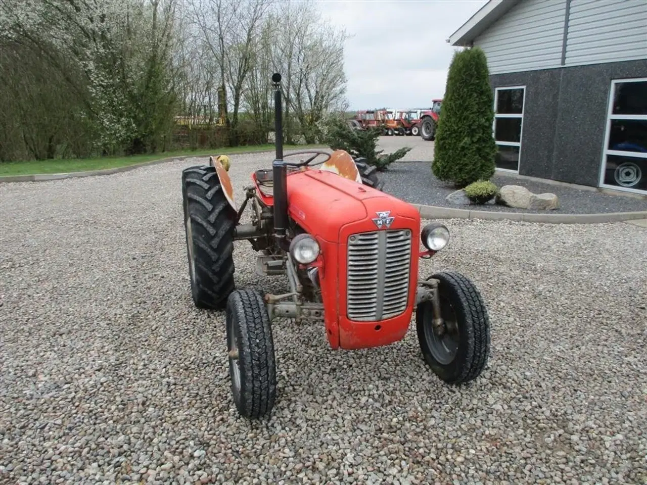 Billede 16 - Massey Ferguson 35 benzin Kører godt