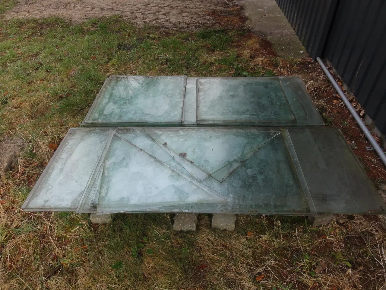 Billede 1 - Drivhus glas til Halls Magnum 148.