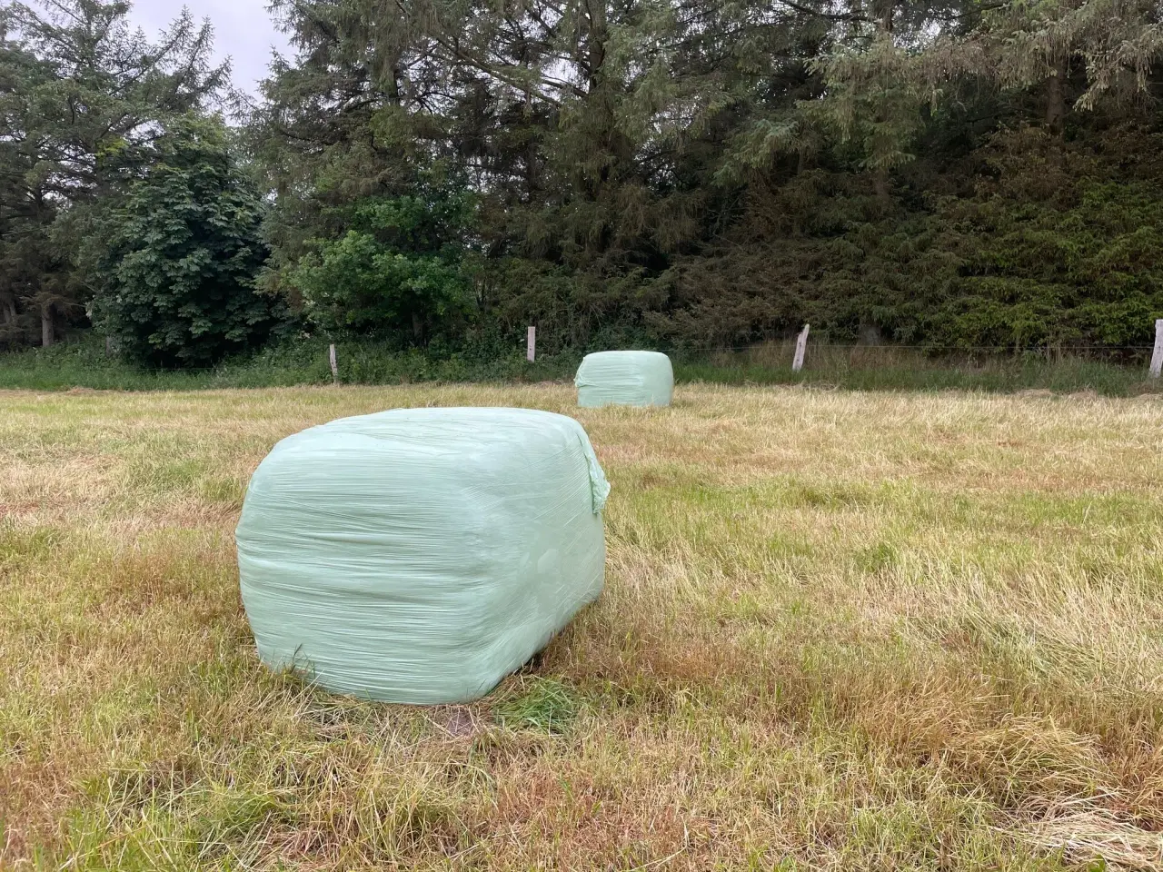 Billede 1 - Super wrap hø