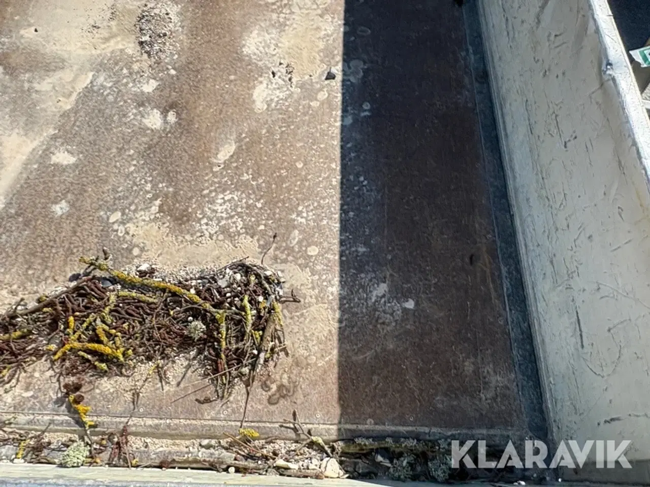 Billede 8 - Tiptrailer Selandia