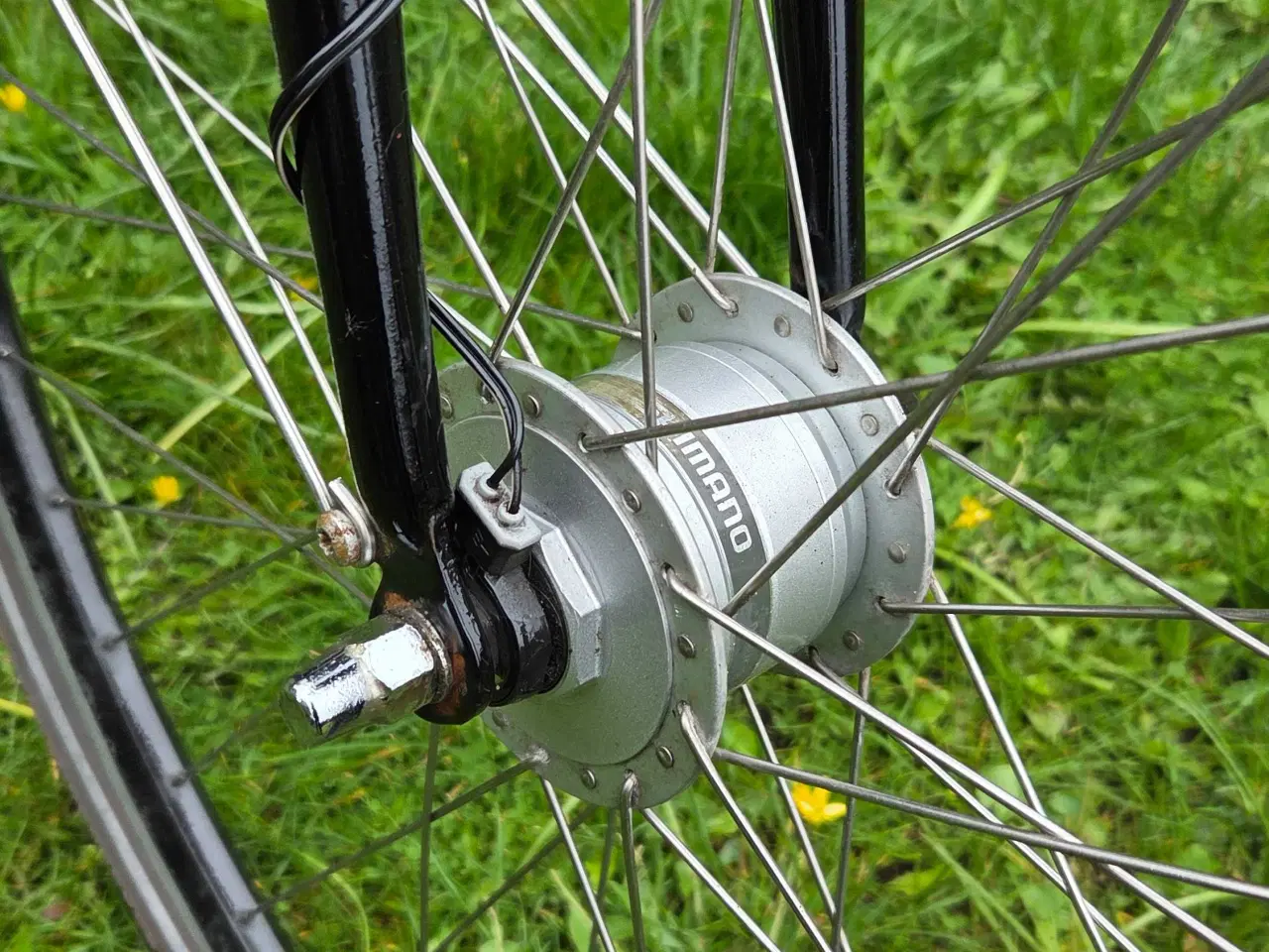 Billede 12 - EVERTON 53 cm 