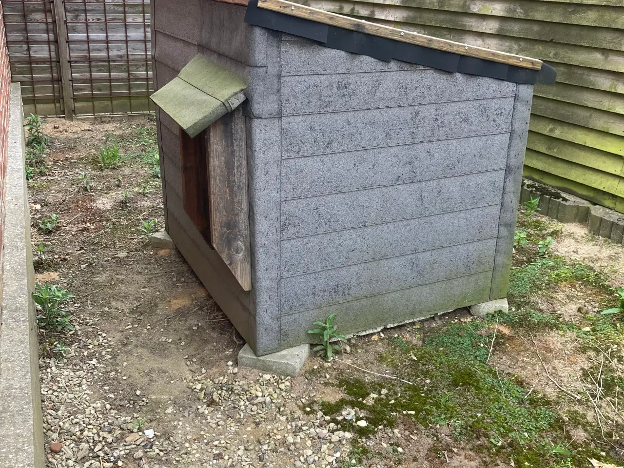 Billede 2 - Hundehus gratis 