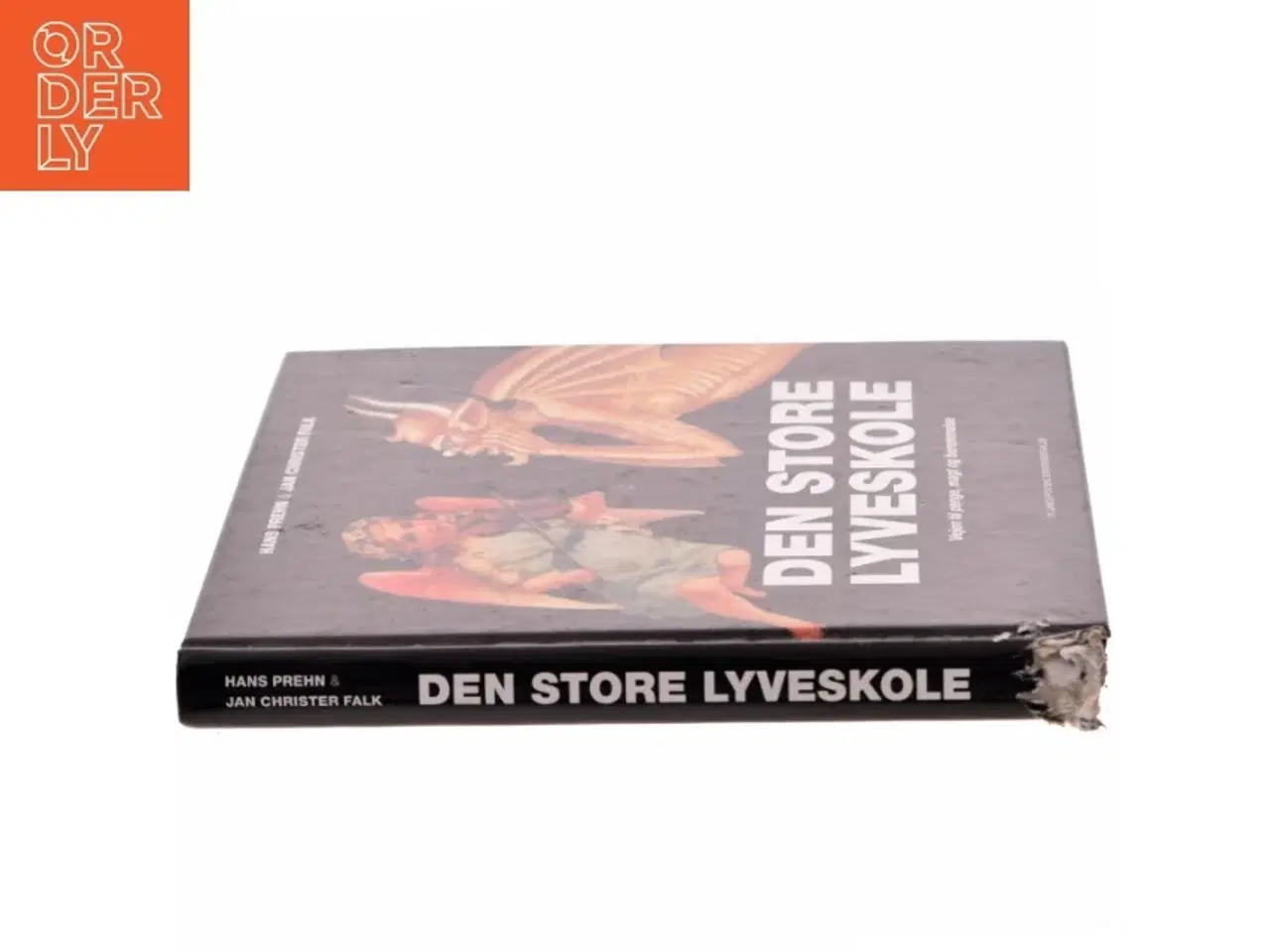 Billede 2 - Den store lyveskole (Bog)