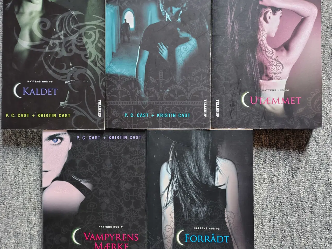 Billede 1 - P. C. Cast Kristin Cast nattens hus - Bøger
