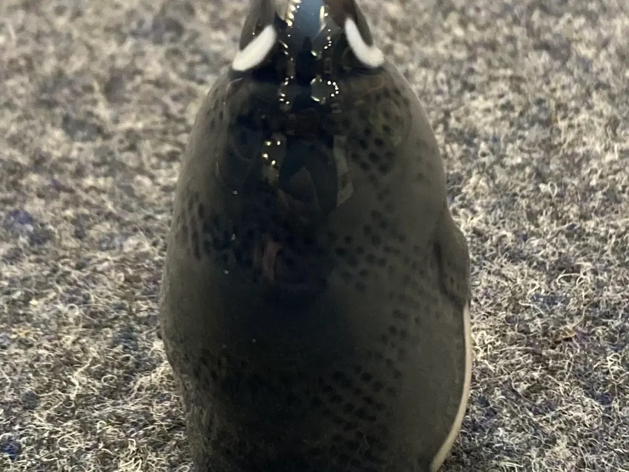 Billede 4 - Royal Copenhagen pingvin