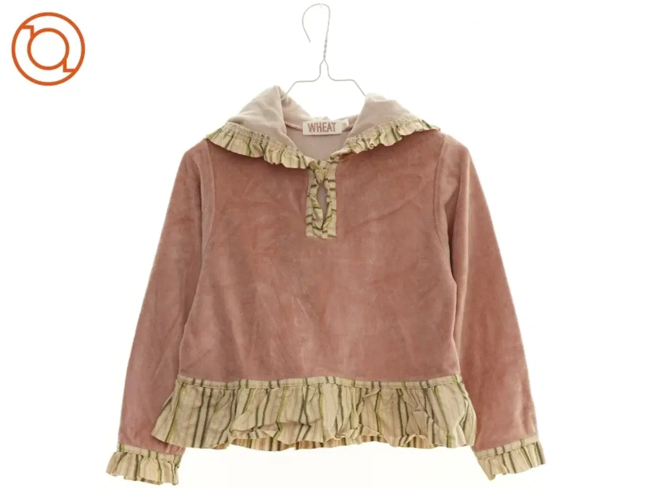 Billede 1 - Hættetrøje fra Wheat (str. 116 cm)