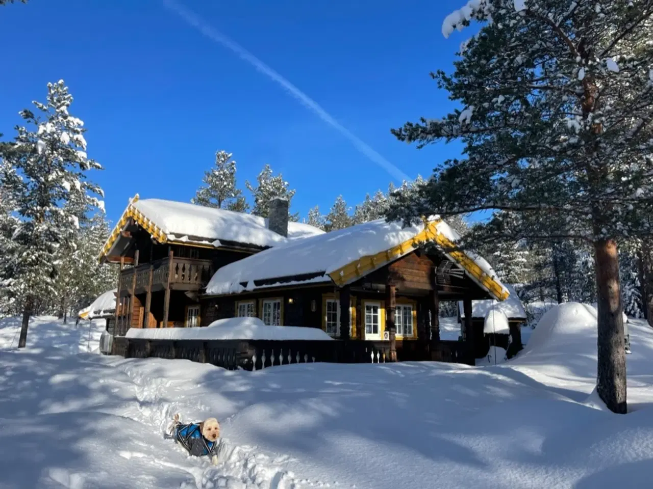 Billede 2 - Hytte, Golfalpin i Hemsedal, Norge