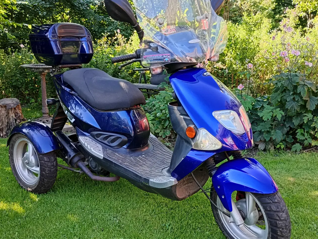 Billede 1 - Pgo tr3. 