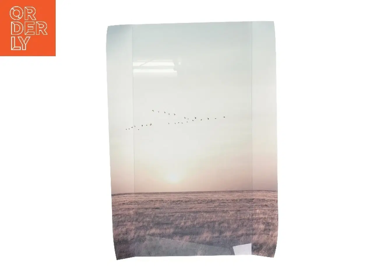 Billede 2 - Landskabsplakater fra Desenio (str. 70x50 cm, 4 styk cm)