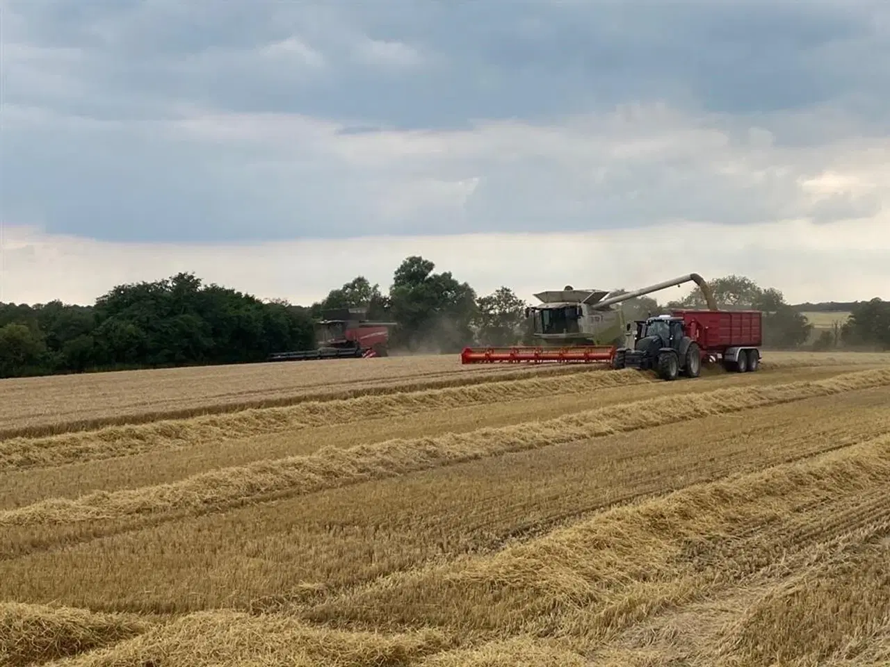 Billede 10 - CLAAS MEJETÆRSKERE KØBES