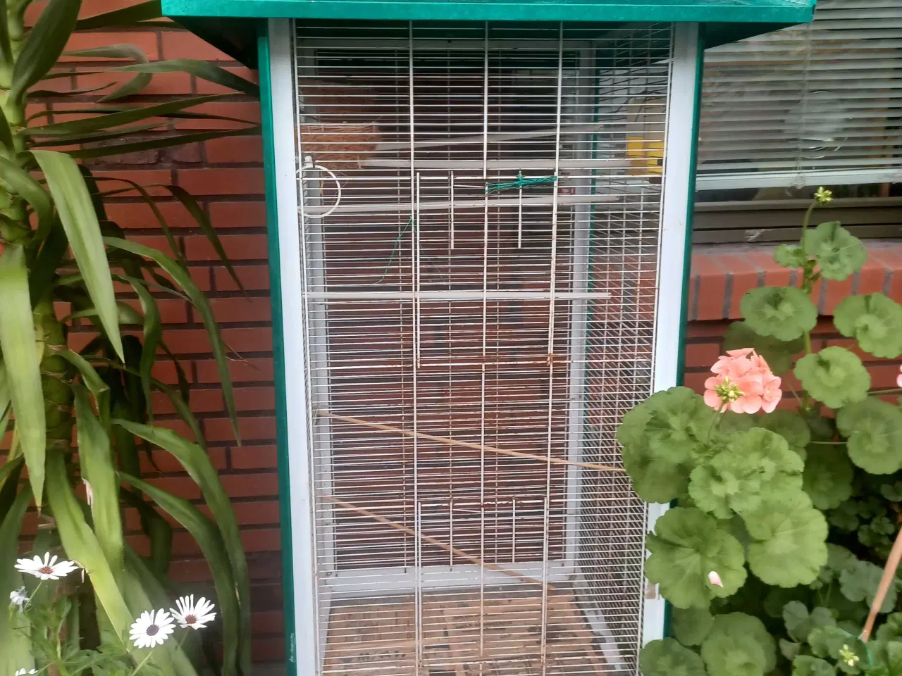 Billede 1 - Fuglebur  170×60