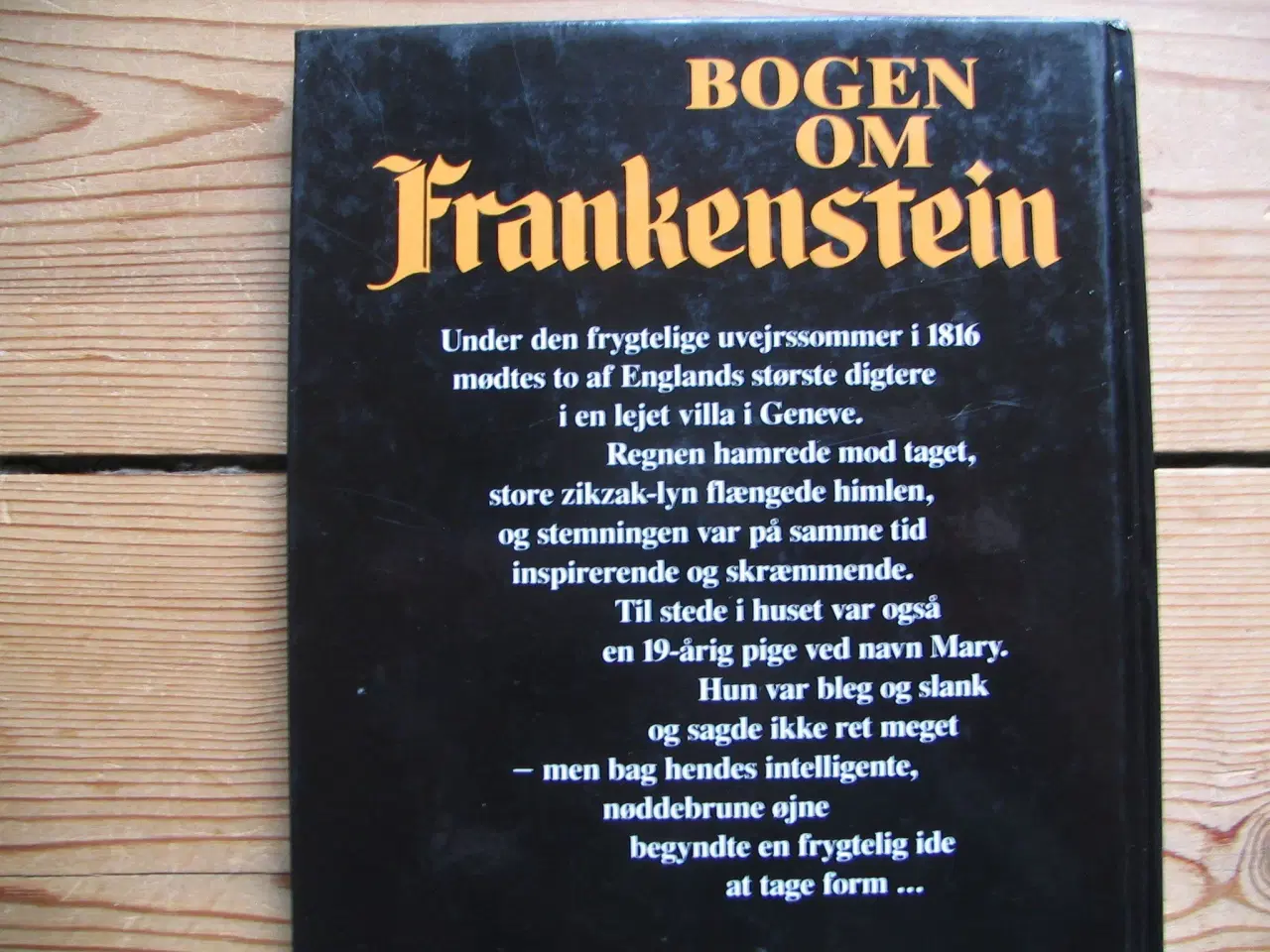 Billede 8 - Bogen om Frankenstein