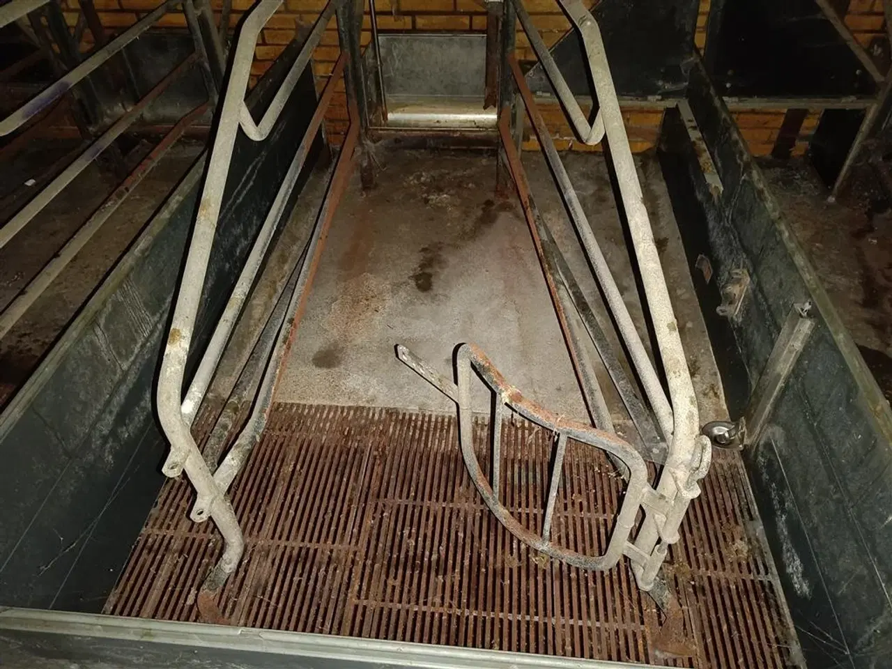 Billede 3 - - - - Sdr Vissing Farestier 48 stk.