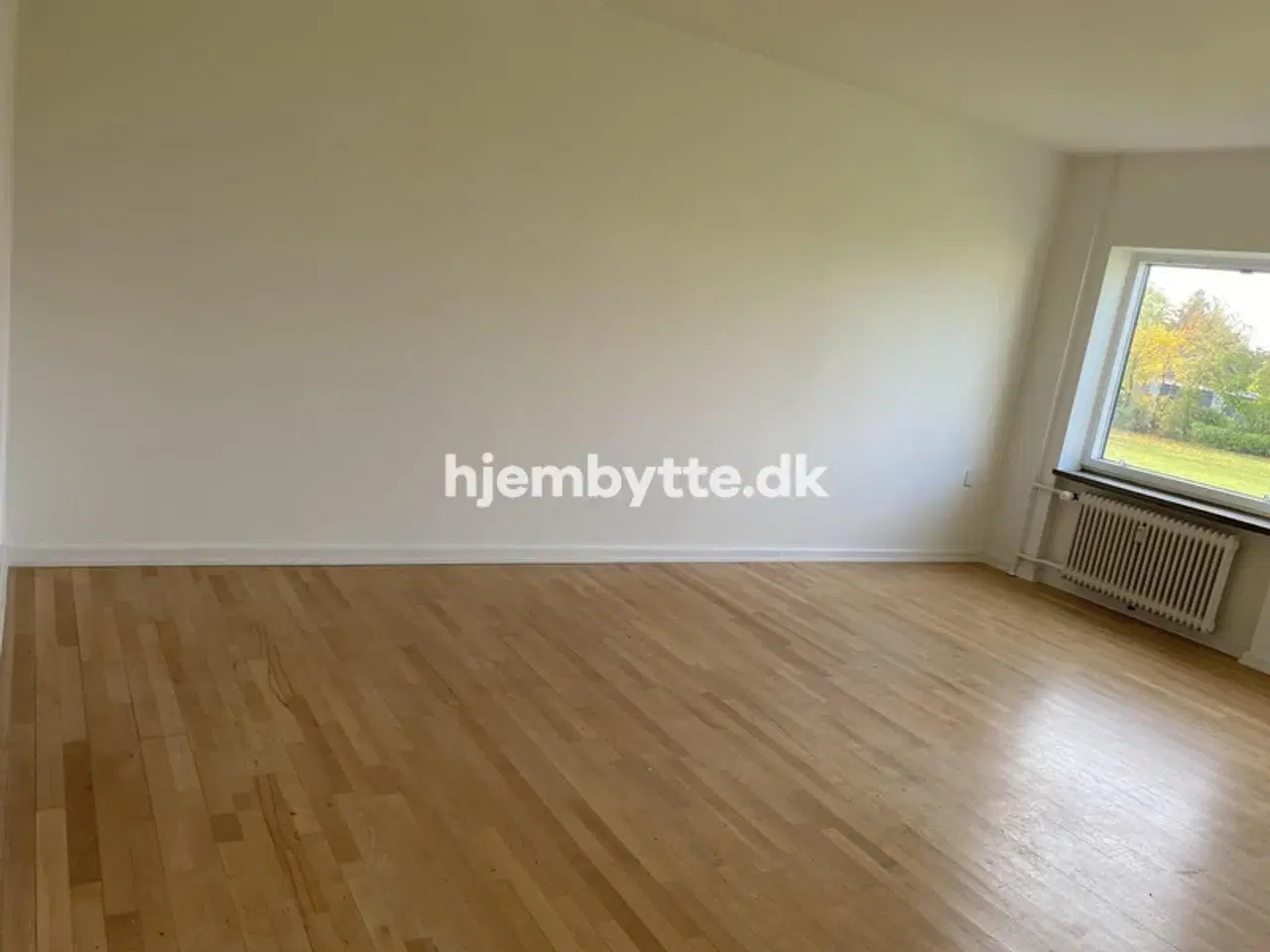 Billede 5 - Hjembytte - Skottegården