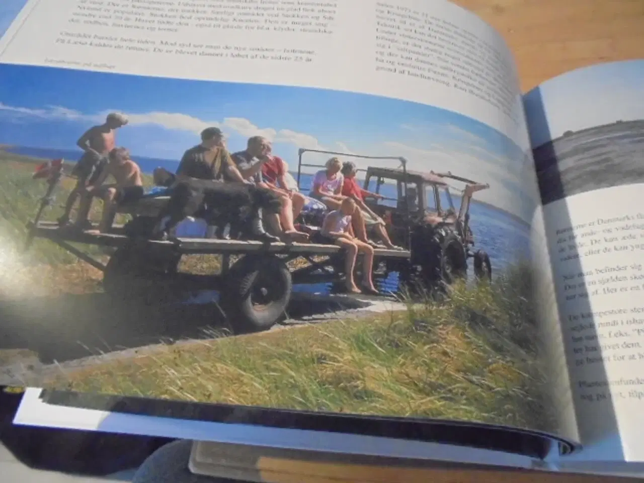 Billede 6 - Mellem klitter og rønner – Læsø’s gaver