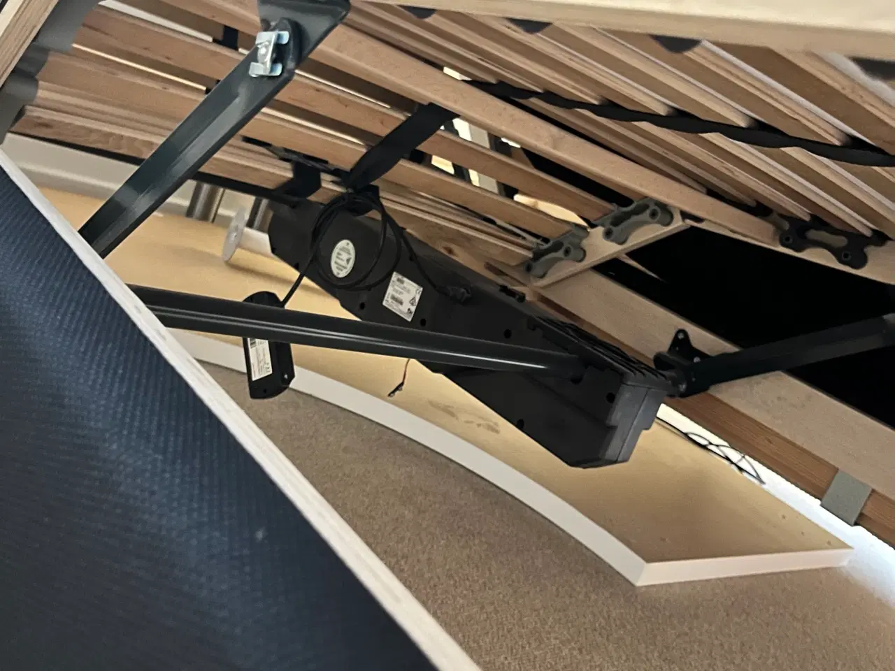 Billede 6 - Elevationsseng, Vision