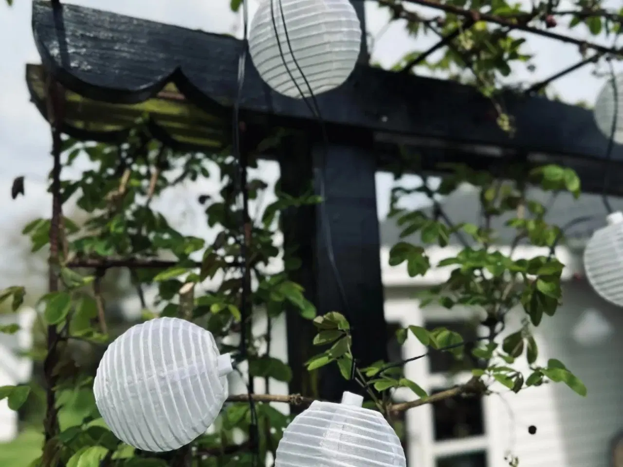 Billede 3 - Rislampe lyskæde