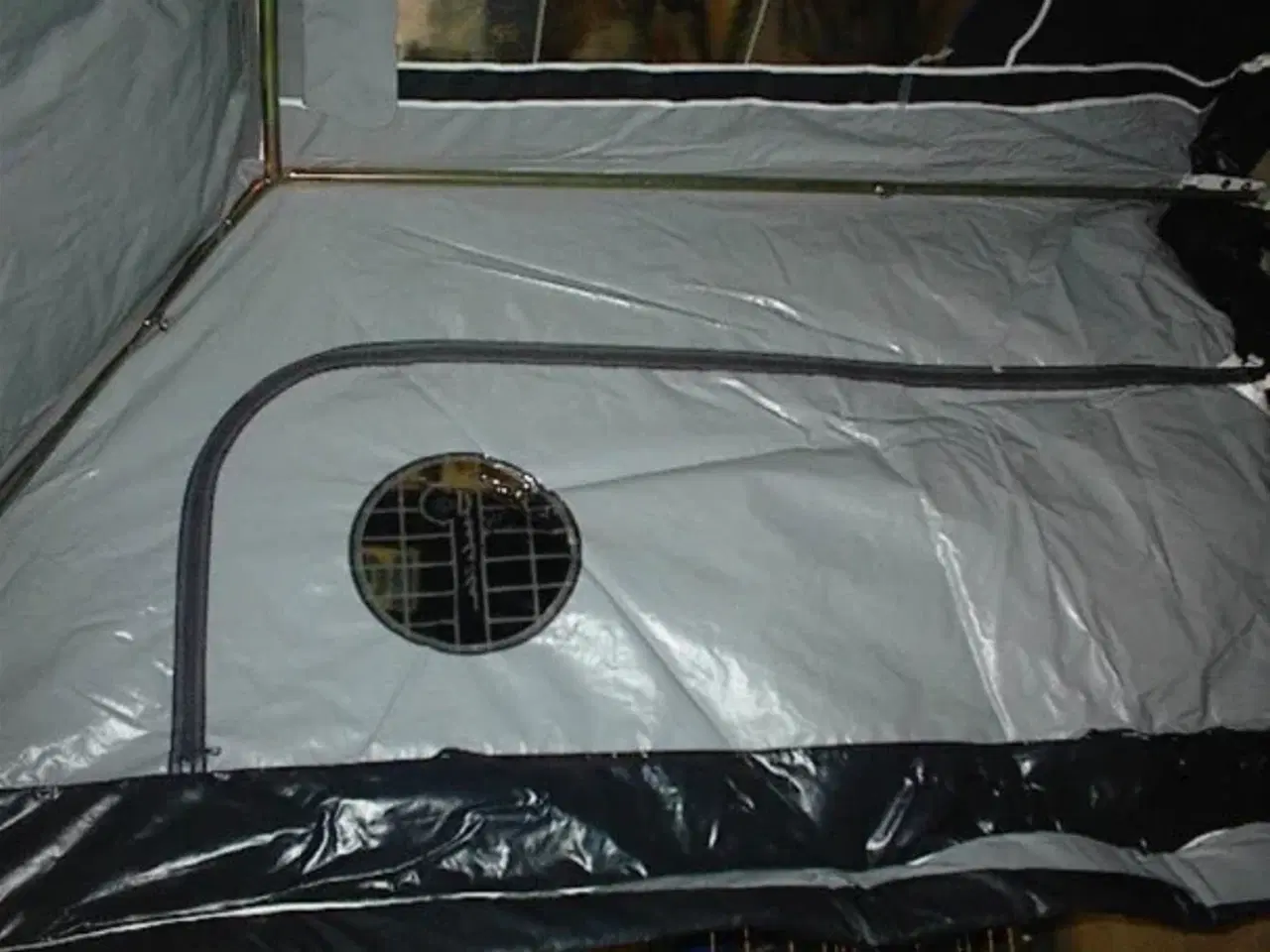 Billede 5 - Isabella Eskimo