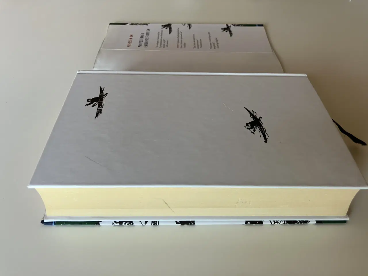 Billede 7 - Profeterne i evighedsfjorden. Af Kim Leine