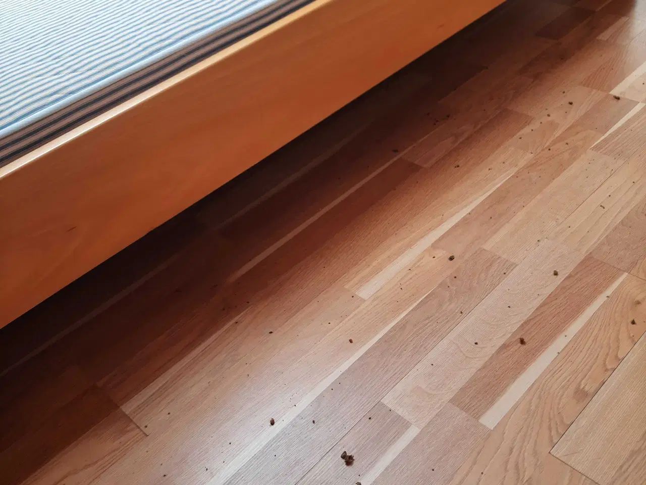 Billede 2 - Seng i bøg 