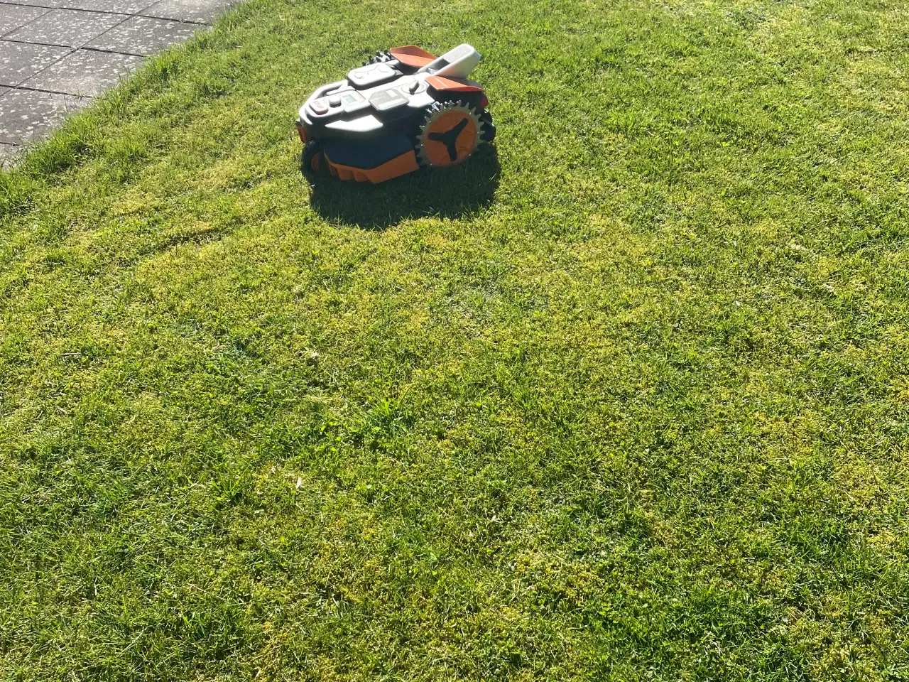 Billede 6 - Landroid Vision M