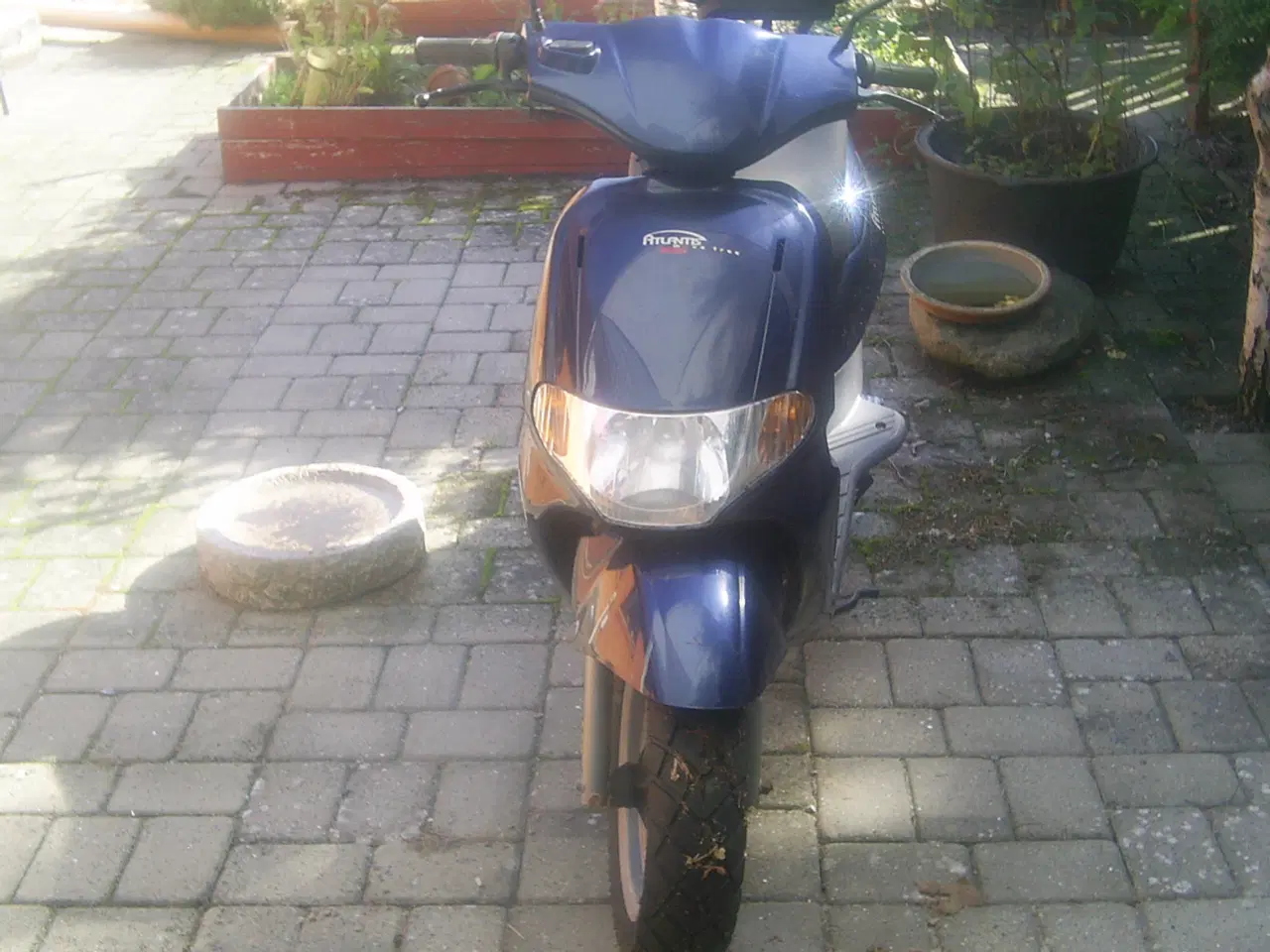 Billede 1 - Derbi Atlantis
