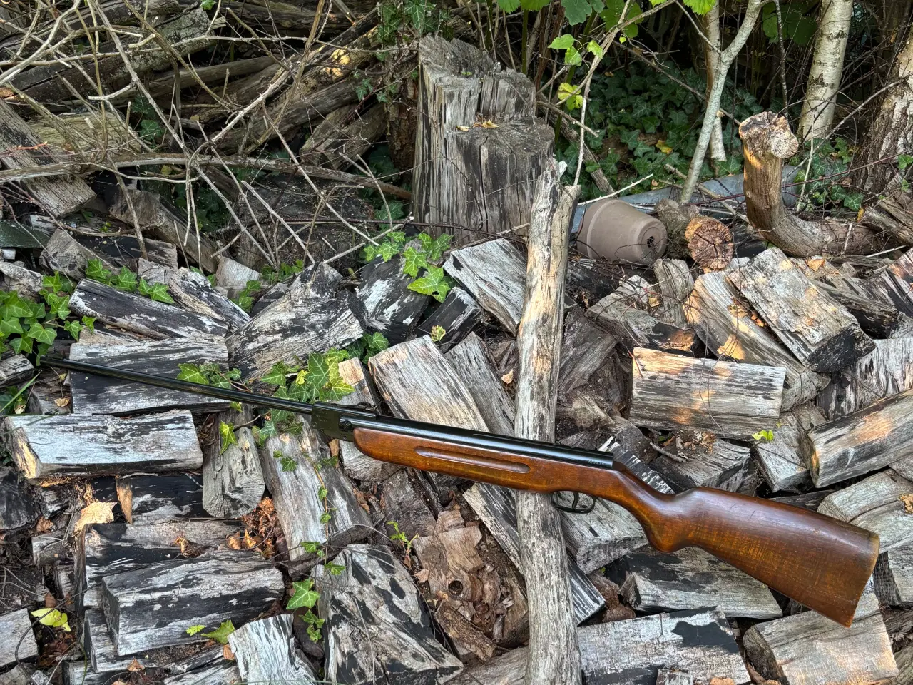 Billede 1 - Weilrauch HW50 - luftgevær 4,5mm