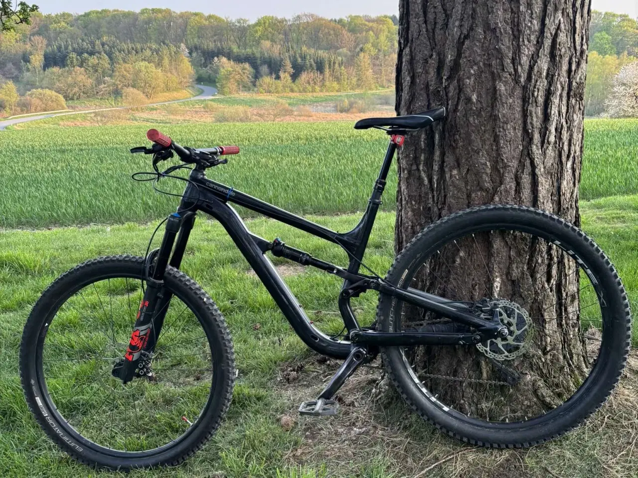 Billede 3 - Cannondale Mountainbike 