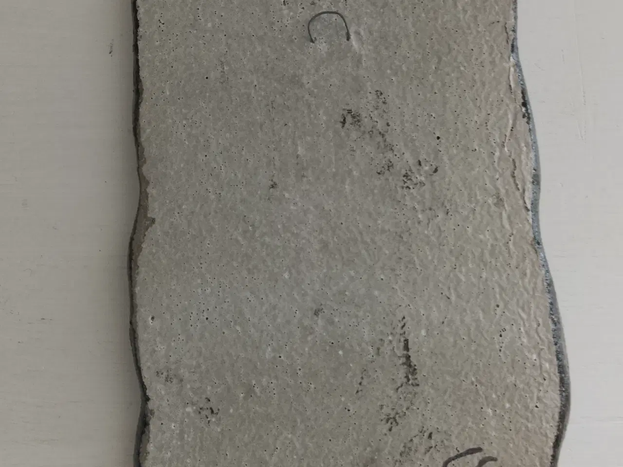 Billede 2 - Blå Jungfru - Carl Stenhammer