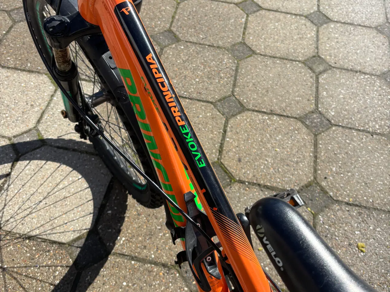 Billede 2 - Principia Evoke 24"