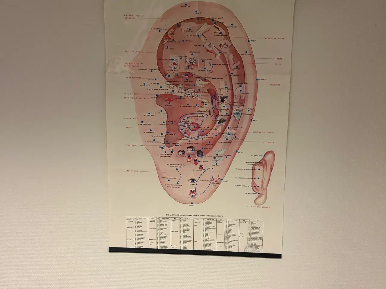 Billede 7 - Klinik udstyr briks , fodpleje stol