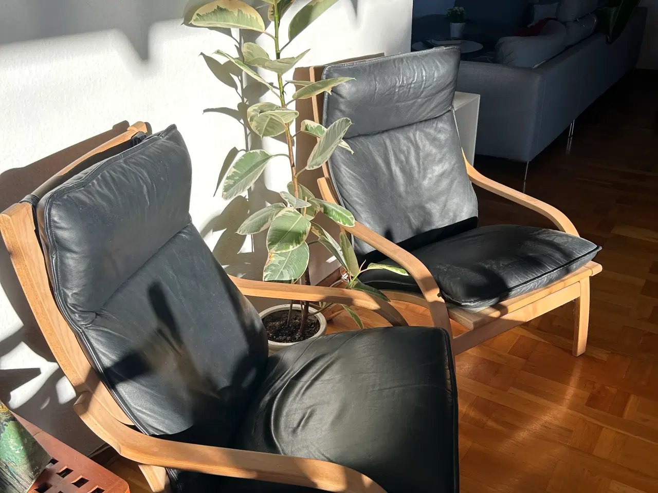 Billede 5 - Børge Mogensen læderstole 2 stk.